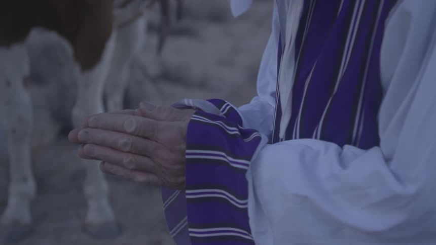 A person has his hands together by a horse