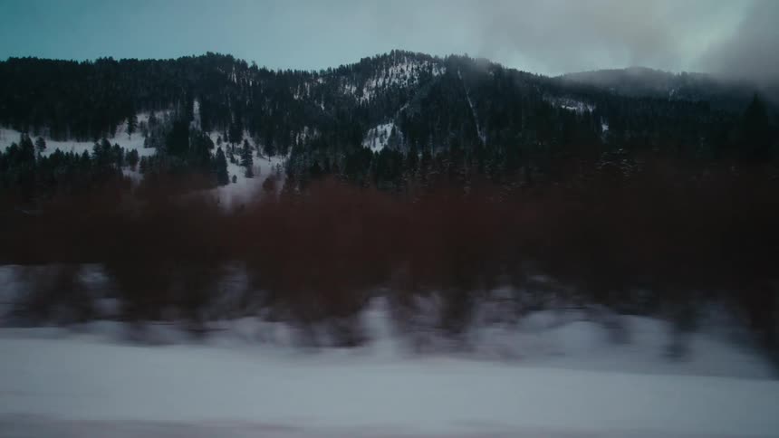Landscape of snowy field and mountain with forest