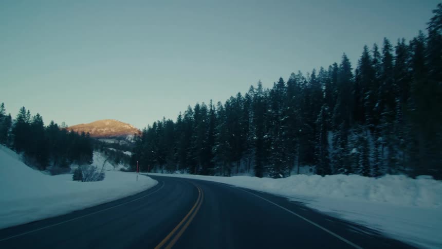 A blanket of snow covers the ground in a forest along a highway