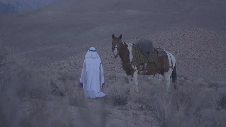 A man is standing near his horse in the desert