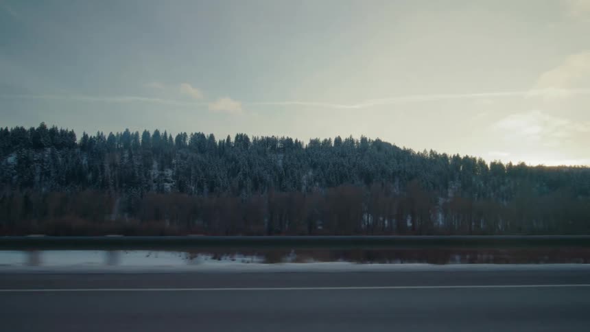A highway runs past a snow covered forest
