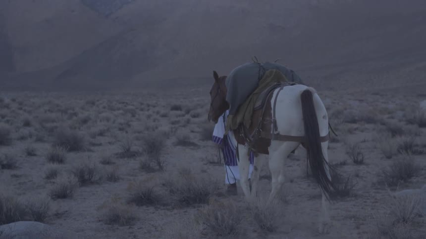 A horse carrying a load walks is led by a man