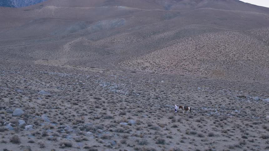 A person and horse are traveling across a field