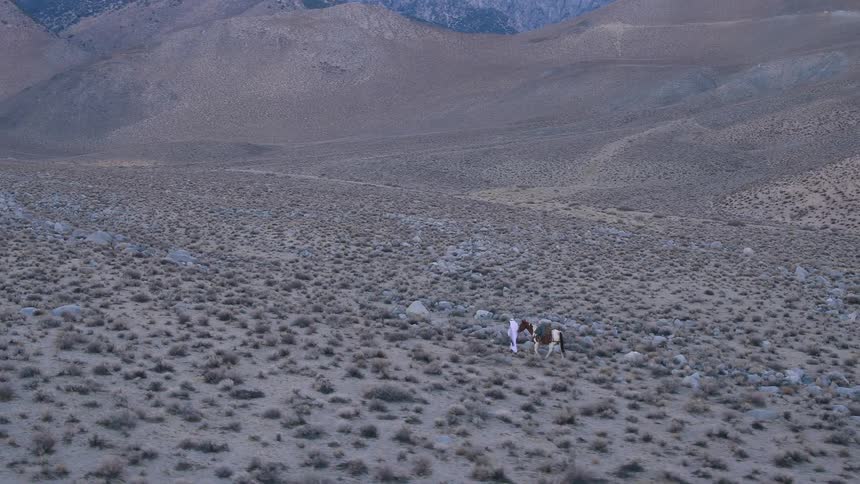 Aerial view of a person walking through barren land leading their horse