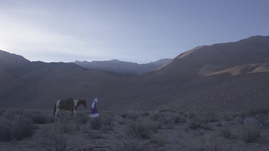 Person walking a horse in a very desolate area
