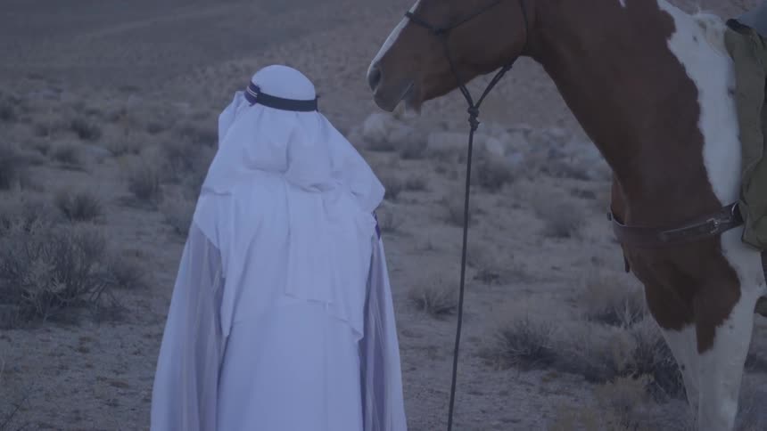 Person in arab dress standing next to a horse