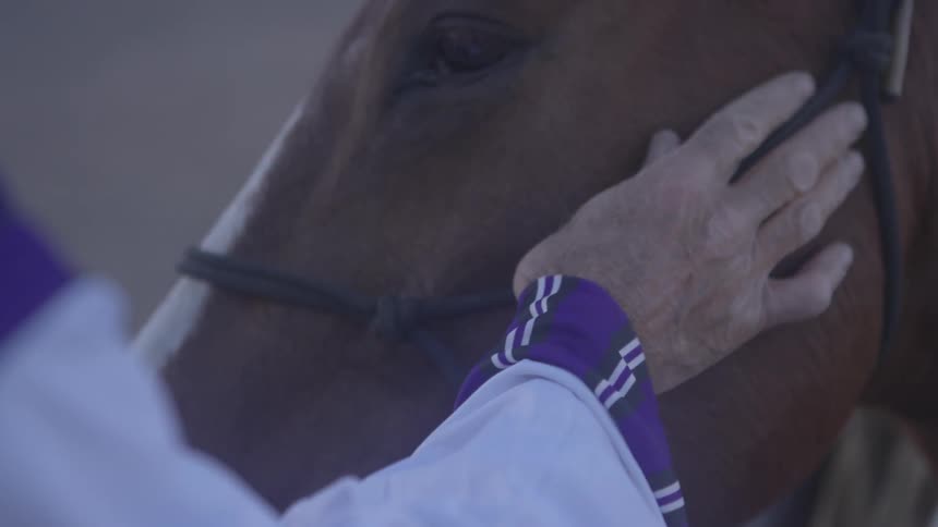 A man petting a horse's face and nose