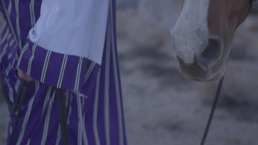A person is walking with a horse