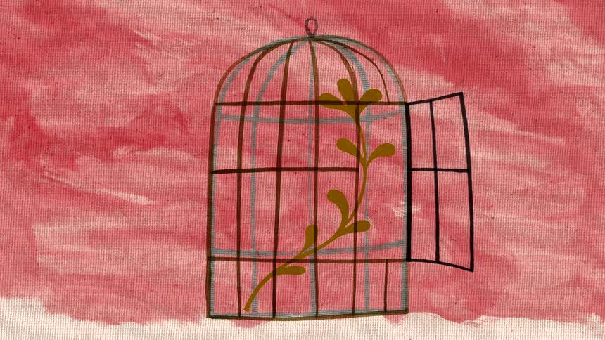 An animation of a bird flying out of a cage