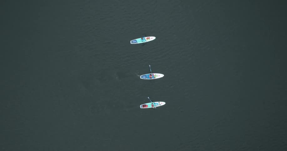 Three people standup paddleboarding on a lake