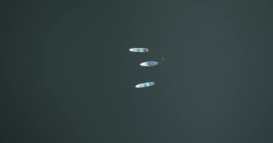 Three standup paddleboarders paddling across the water