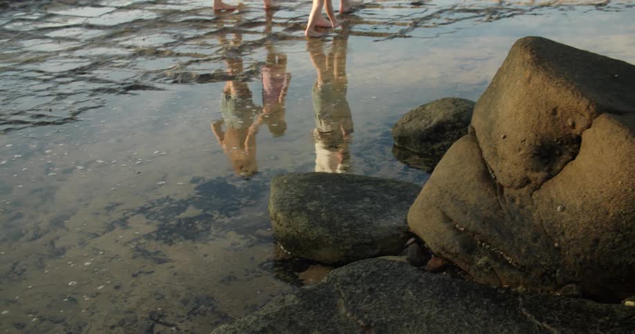 A family with two young girls are walking along the shore as their reflection moves on the water as they walk