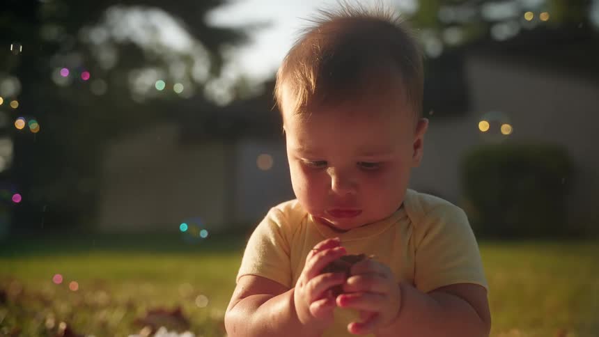 A baby is examining a leaf