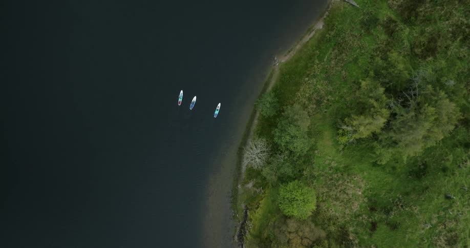 Three people paddling past a lucious green coastline