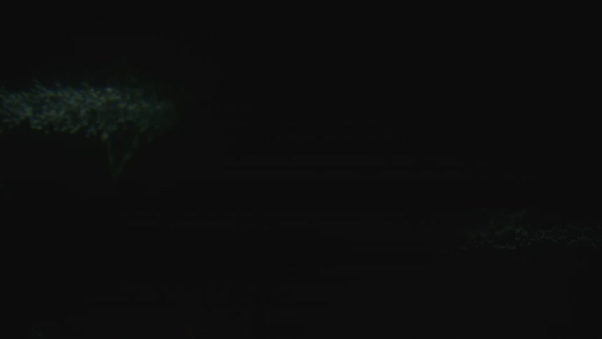 Light waves flashing across a screen