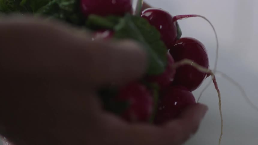 A person is washing radishes