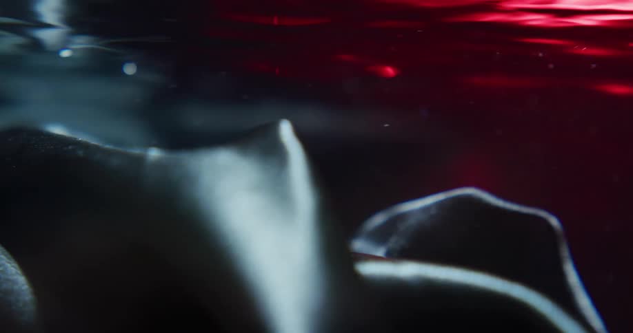 Gray and red clothes swirl in wash water