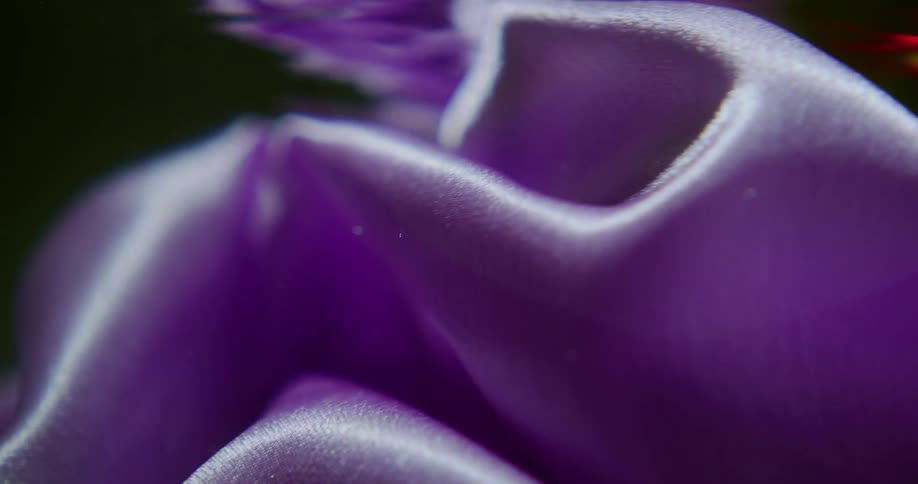 Light shines on a lavender cloth as it moves underwater and a red light shines on the surface