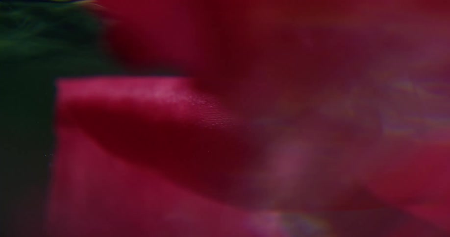 A piece of red fabric floating underwater