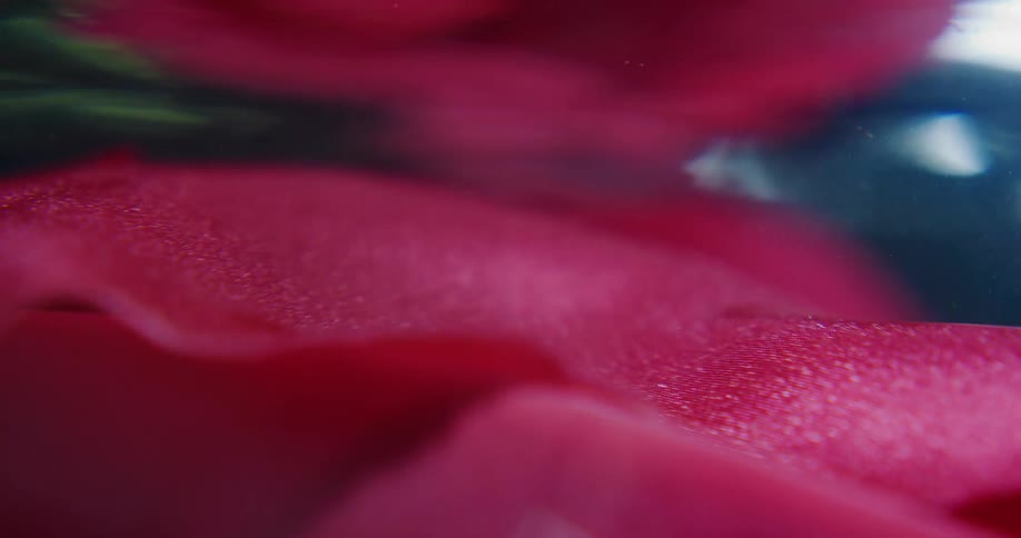 A pink cloth moves and wavers underwater as sunlight shines on the surface