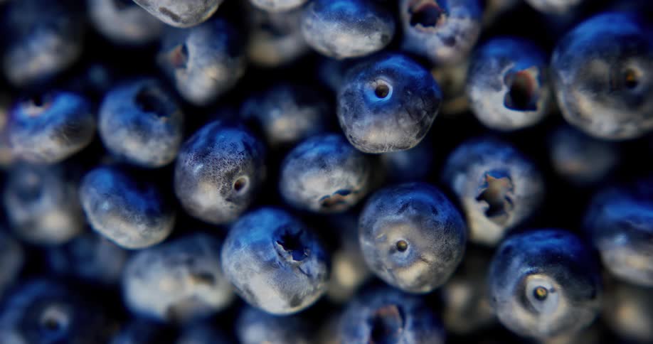 Closeup of fresh blueberries