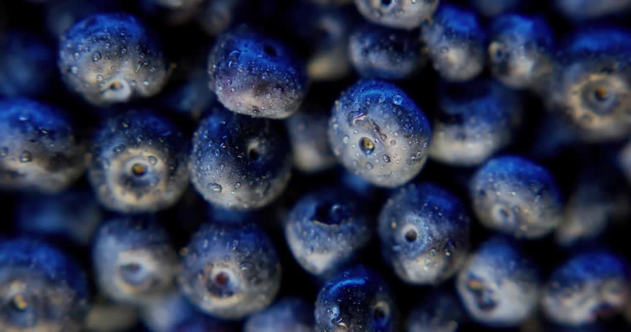 Drops of water sit atop a bowl of blueberries