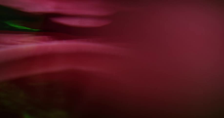 A red cloth moving with the wave of water
