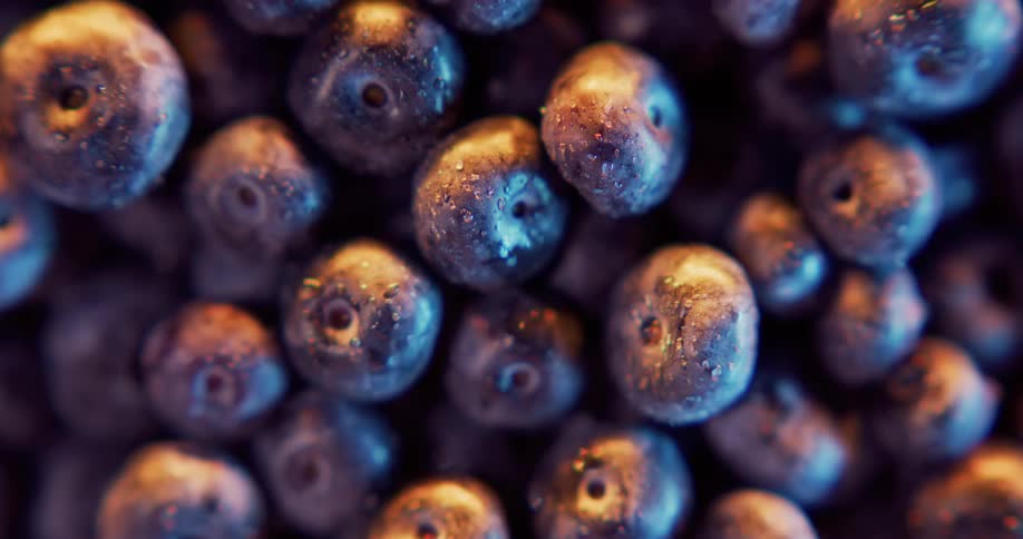 Close up of blueberries