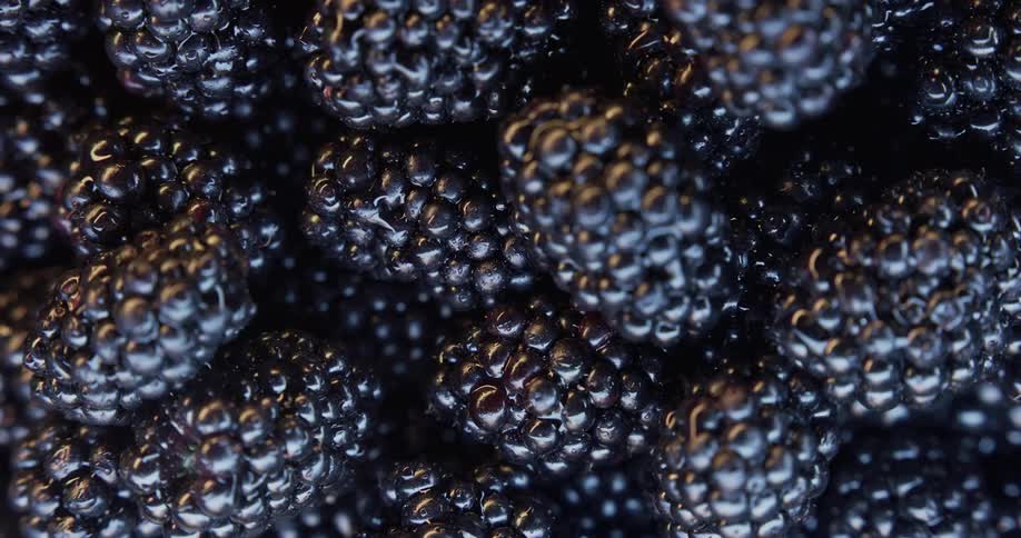 A image of blackberries