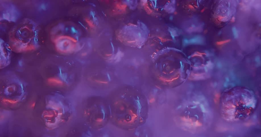 Close up of blueberries with water droplets