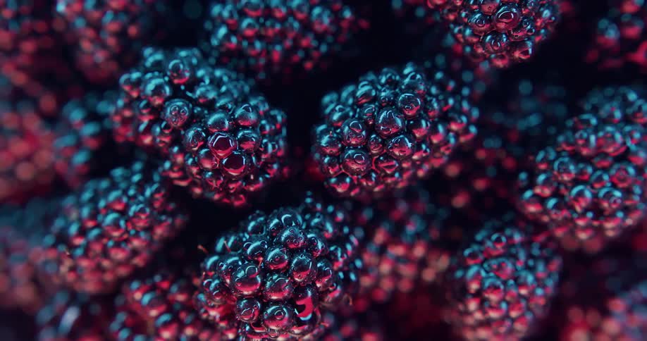 Plump blackberries fill a bowl
