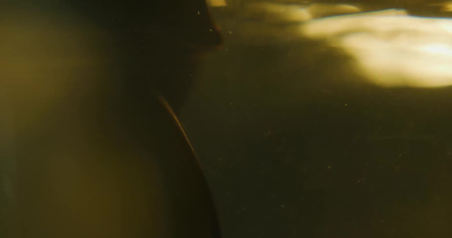The rag floats to the surface of the water