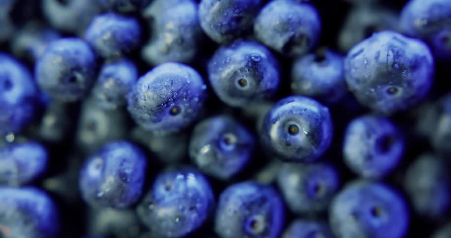 Pile of damp blueberries gleam brightly