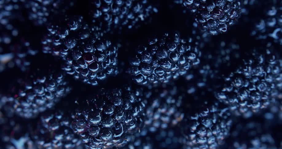 The light shines on the bunch of raspberries