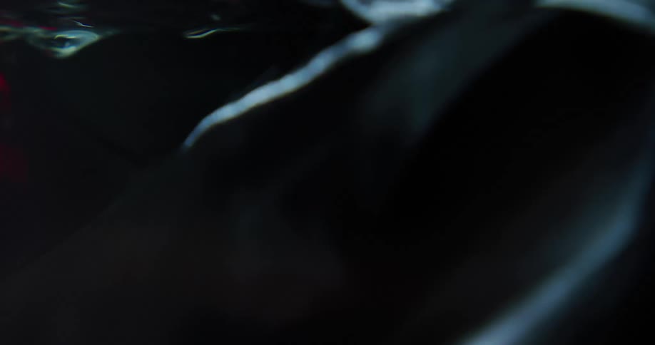 A silken black fabric floats in water