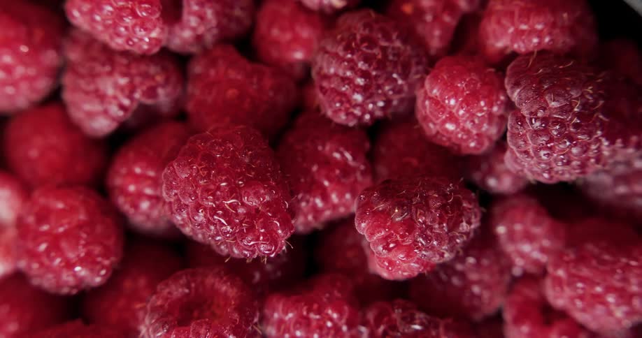A few dozen raspberries sit in a bowl