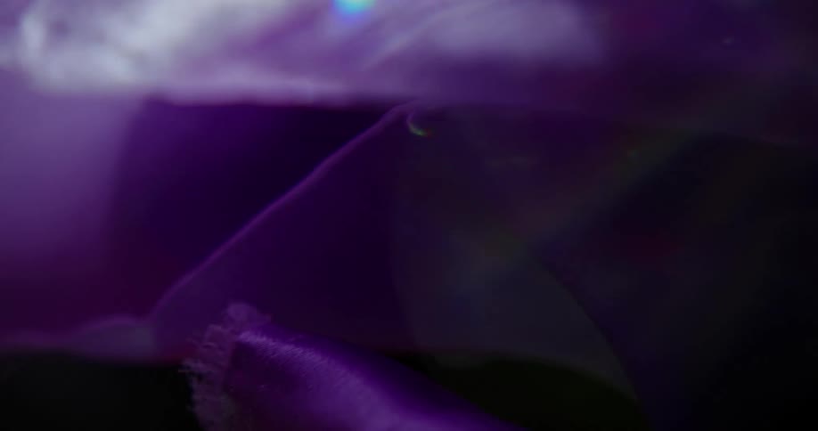 An up close of purple silky material in water