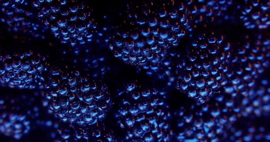 Close up view of blackberries are on display