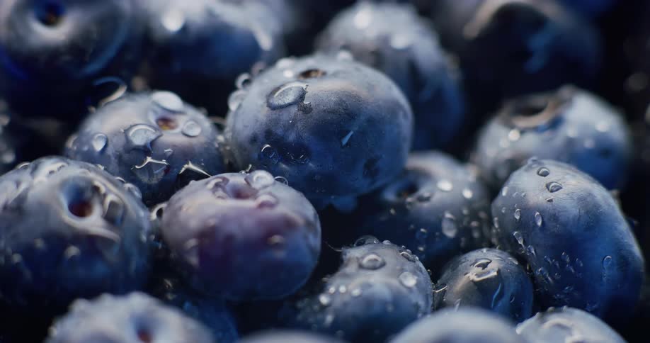 Freshly washed blueberries sit in a bowl