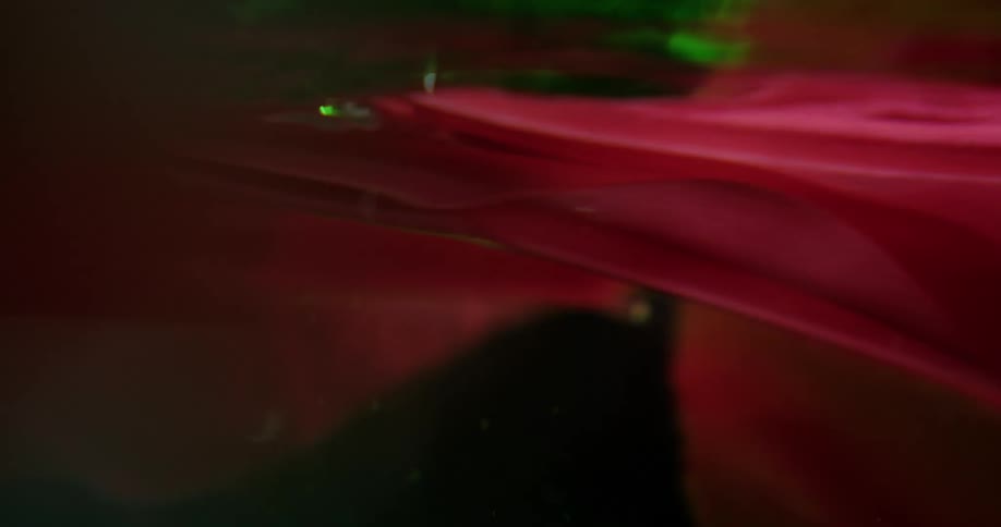 A piece of red fabric or clothing underwater moving around like laundry with green light from above