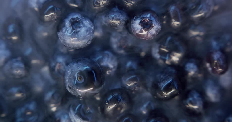 Close up of frozen blueberries