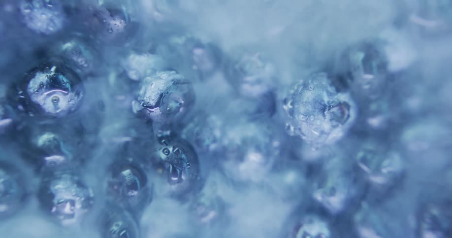 Pale vapor flows from frozen blueberries