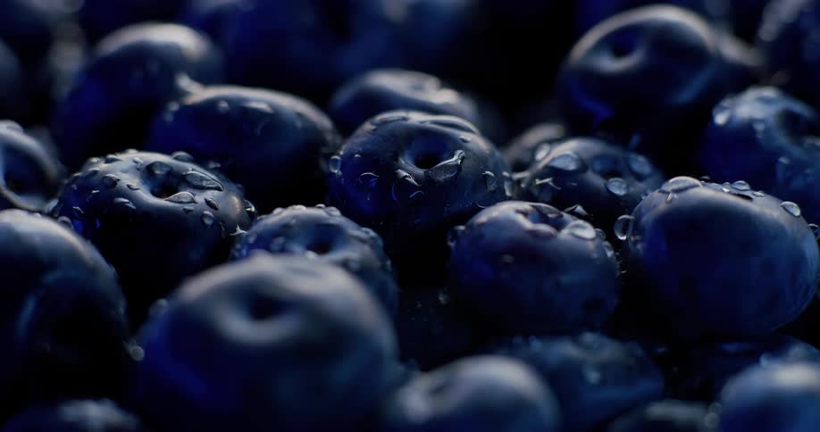 Close up of blueberries with water droplets on them