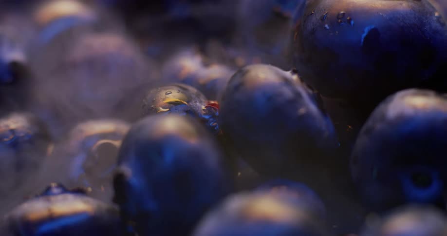 A blueberry fruit boiling and giving bubbles of water