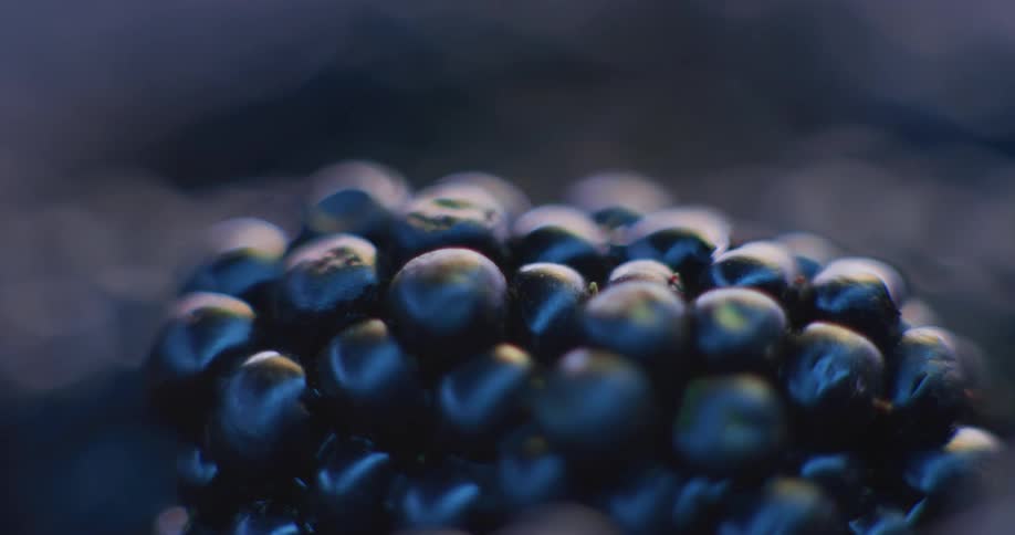 The light reflects off the fruit