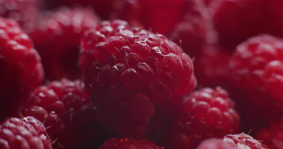 Light shines on raspberries in a bowl