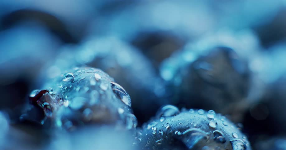 Close up of blueberries with water droplets