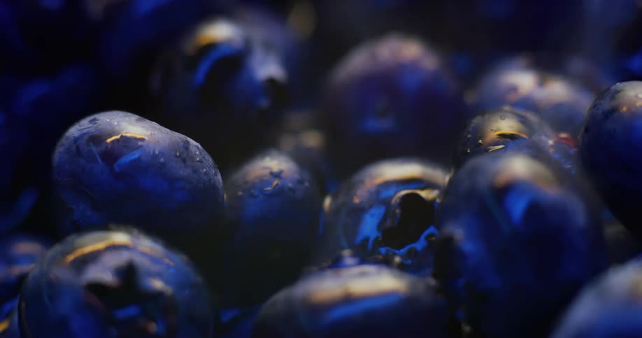 Close uo of steaming blueberries
