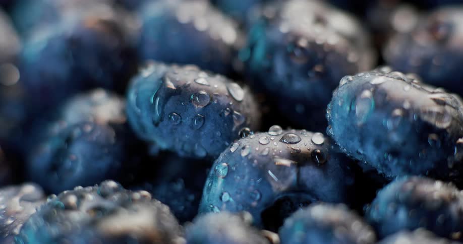 Close view of a pile of wet blueberries