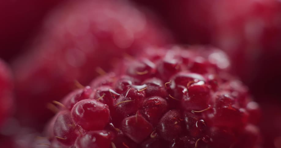 The light reflects on the raspberries